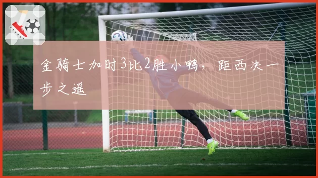 金骑士加时3比2胜小鸭，距西决一步之遥