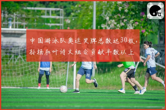 中国游泳队奥运奖牌总数达30枚,孙杨和叶诗文组合贡献半数以上