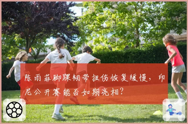 陈雨菲脚踝韧带扭伤恢复缓慢,印尼公开赛能否如期亮相?