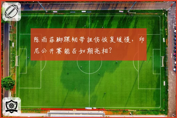 陈雨菲脚踝韧带扭伤恢复缓慢，印尼公开赛能否如期亮相？